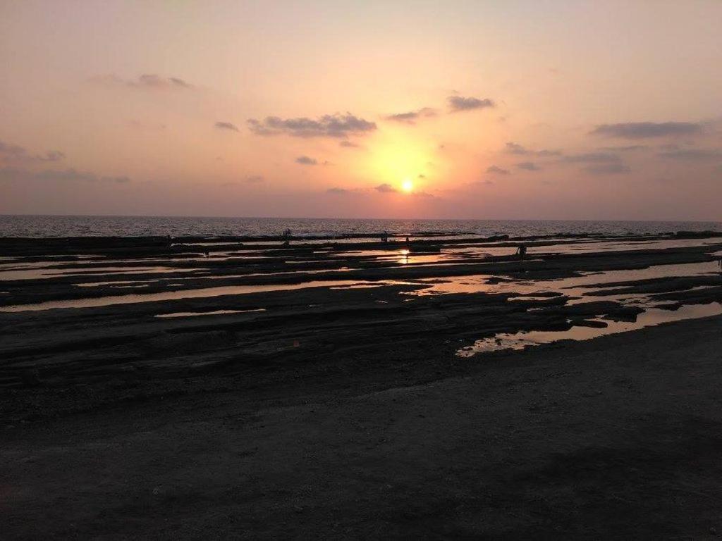 Zeytinada Pansiyon Ve Goezleme Guneykoy Экстерьер фото