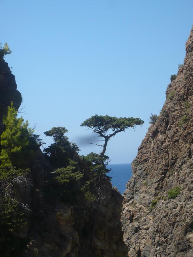 Zeytinada Pansiyon Ve Goezleme Guneykoy Экстерьер фото