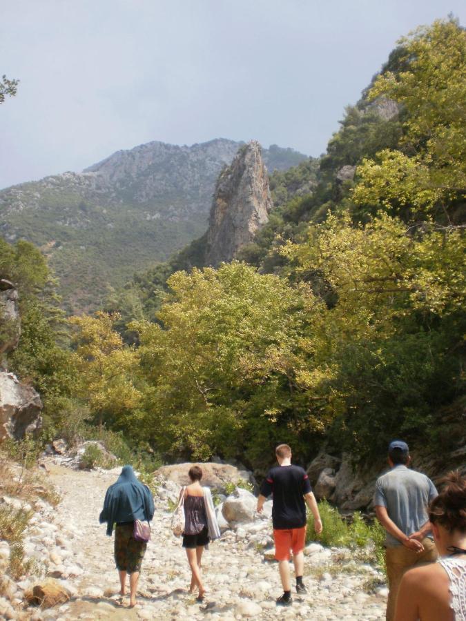 Zeytinada Pansiyon Ve Goezleme Guneykoy Экстерьер фото